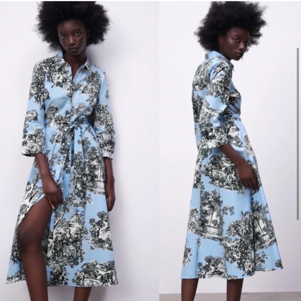 Zara Floral Print Toile Midi Dress